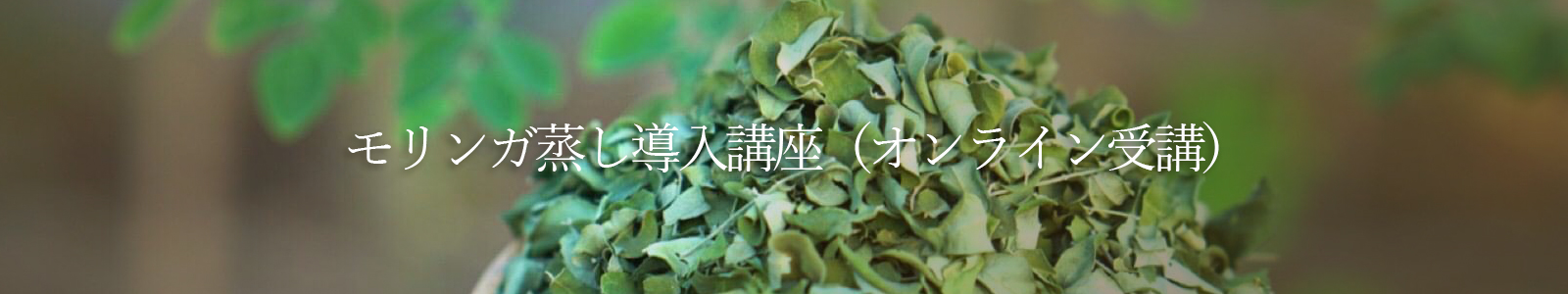 モリンガ蒸し導入講座